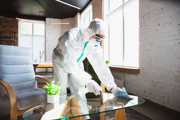 Professional Mold Removal in Orchards, WA